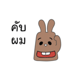 brownie rabbit（個別スタンプ：15）