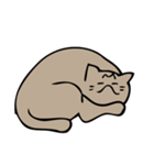Ⅿ模様の猫スタンプ（個別スタンプ：36）