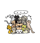 猫カフェ店長マナブさん（個別スタンプ：21）