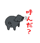 ぐうたらプードル くーちゃん（個別スタンプ：14）