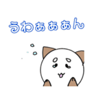 2匹の犬！2＋猫（個別スタンプ：8）