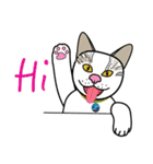 Cat-Lunla（個別スタンプ：23）