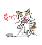 Cat-Lunla（個別スタンプ：35）