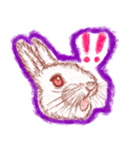 ウサギの時間（個別スタンプ：5）