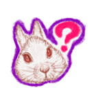 ウサギの時間（個別スタンプ：6）