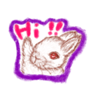 ウサギの時間（個別スタンプ：11）