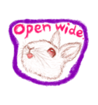 ウサギの時間（個別スタンプ：15）