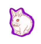 ウサギの時間（個別スタンプ：19）