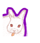 ウサギの時間（個別スタンプ：21）