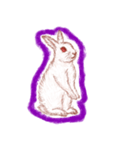 ウサギの時間（個別スタンプ：23）