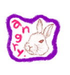ウサギの時間（個別スタンプ：24）