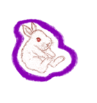 ウサギの時間（個別スタンプ：38）