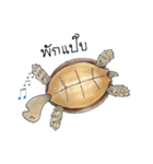 Sulcata tortoise（個別スタンプ：16）