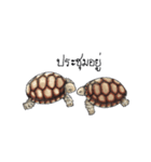 Sulcata tortoise（個別スタンプ：19）