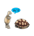 Sulcata tortoise（個別スタンプ：25）