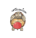 Sulcata tortoise（個別スタンプ：34）