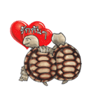 Sulcata tortoise（個別スタンプ：37）