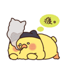 にゃんぴよ。（個別スタンプ：5）