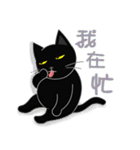 Black Cat's Daily Life（個別スタンプ：3）