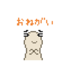 ようせいぱぺ（個別スタンプ：40）