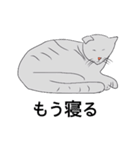 たれ耳ねこ パティ（個別スタンプ：10）