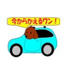 マルプーだわん！（個別スタンプ：13）