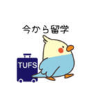 東京外国語大学キャラクター「トビタくん」（個別スタンプ：3）