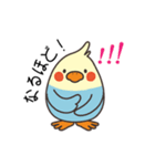 東京外国語大学キャラクター「トビタくん」（個別スタンプ：30）