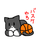 毎日気ままなネコ3匹（個別スタンプ：29）