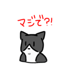 毎日気ままなネコ3匹（個別スタンプ：39）