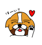 シーズー犬「セナ」かわいいぐうたら生活（個別スタンプ：3）