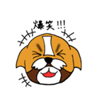 シーズー犬「セナ」かわいいぐうたら生活（個別スタンプ：6）