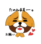 シーズー犬「セナ」かわいいぐうたら生活（個別スタンプ：13）