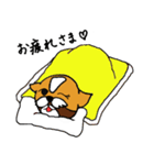 シーズー犬「セナ」かわいいぐうたら生活（個別スタンプ：18）