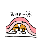 シーズー犬「セナ」かわいいぐうたら生活（個別スタンプ：21）