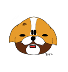 シーズー犬「セナ」かわいいぐうたら生活（個別スタンプ：24）