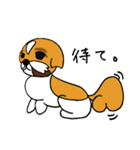 シーズー犬「セナ」かわいいぐうたら生活（個別スタンプ：30）