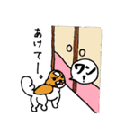 シーズー犬「セナ」かわいいぐうたら生活（個別スタンプ：37）