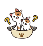 cats pot（個別スタンプ：1）