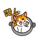 cats pot（個別スタンプ：2）