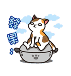 cats pot（個別スタンプ：12）