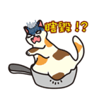 cats pot（個別スタンプ：16）