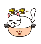 cats pot（個別スタンプ：21）