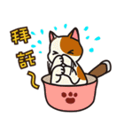 cats pot（個別スタンプ：26）