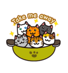 cats pot（個別スタンプ：29）