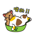 cats pot（個別スタンプ：32）