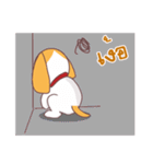 Bogie : The Dog（個別スタンプ：19）