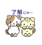 ねこのにゃん（個別スタンプ：3）