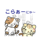 ねこのにゃん（個別スタンプ：11）