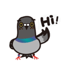 ノリピジョン（個別スタンプ：1）